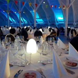 Hyra ägglampor i Stockholm