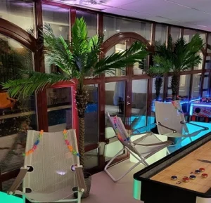 Hyra palm i Stockholm