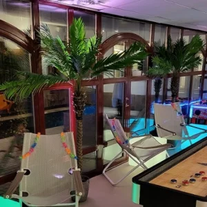 Hyra palm i Stockholm