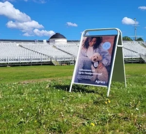 Vi har gatupratare att hyra i Stockholm