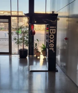 Boxningsboll för fest och event
