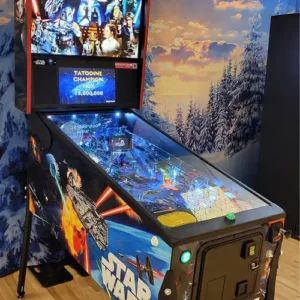 En av våra flipperspel på företagsfest. Finns att hyra