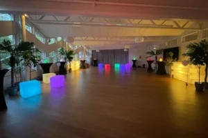 Lysande kuber som går att hyra